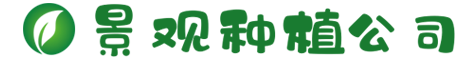 福布斯Forbos官网